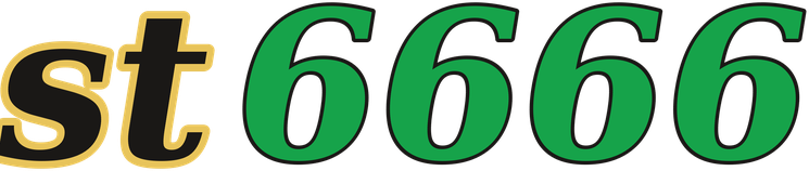 st6666 logo